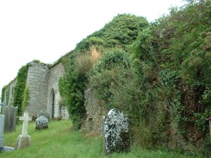 Carlow Dunleckney Ruins CoI-thestewartsinireland.ie