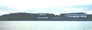Famine canada grosseile-1-thestewartsinireland.ie