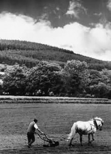 Horse & Plough-thestewartsinireland.ie
