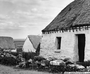 Farming Thatch Cottages