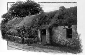 Farming Thatched House old