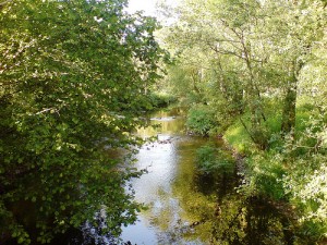 Forest River in woods-thestewartsinireland.ie