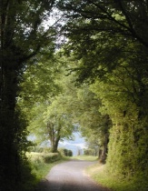 Forest Road way-thestewartsinireland.ie