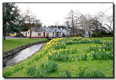 Kildare Clane Village-thestewartsinireland.ie