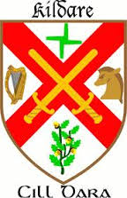 Kildare Coat of Arms-thestewartsinireland.ie