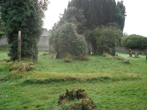 Kildare Donadea St. Peter's Graveyard 3-thestewartsinireland.ie