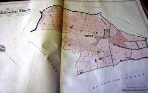 Map Ballingate Lower 2-thestewartsinireland.ie