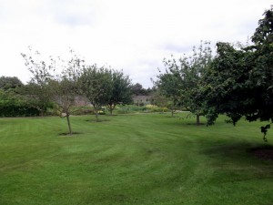 Marley gardens 6