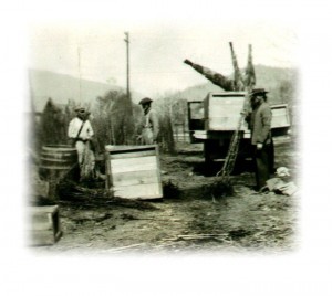 Nursery old photo-thestewartsinireland.ie