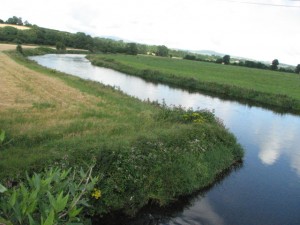 River Slaney-thestewartsinireland.ie