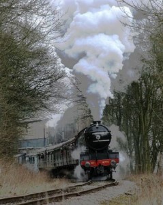 Shillelagh Railway Steam Train 2-thestewartsinireland.ie