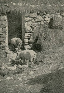 cottage-irish-1897-thestewartsinireland.ie