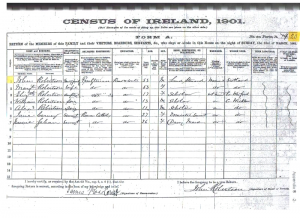 Census Returns 1901-thestewartsinireland.ie